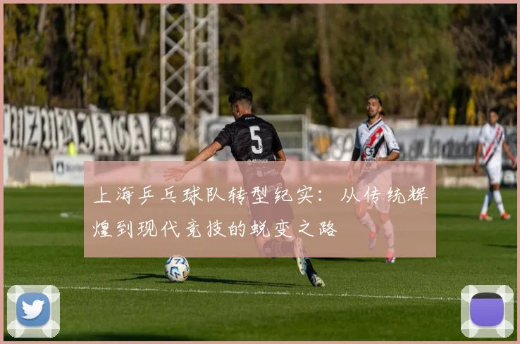 上海乒乓球队转型纪实：从传统辉煌到现代竞技的蜕变之路